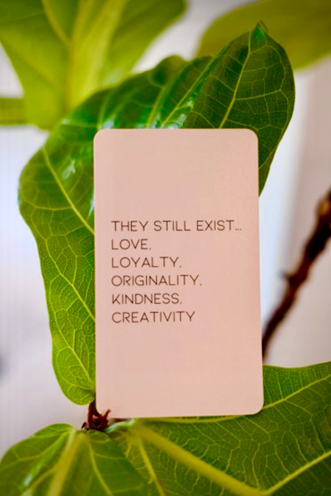 Affirmé: Affirmation Cards
