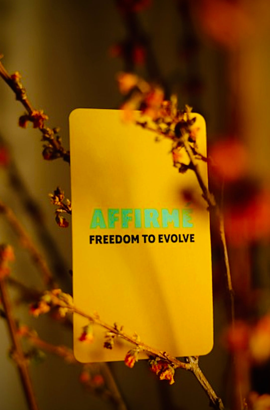 Affirmé: Affirmation Cards