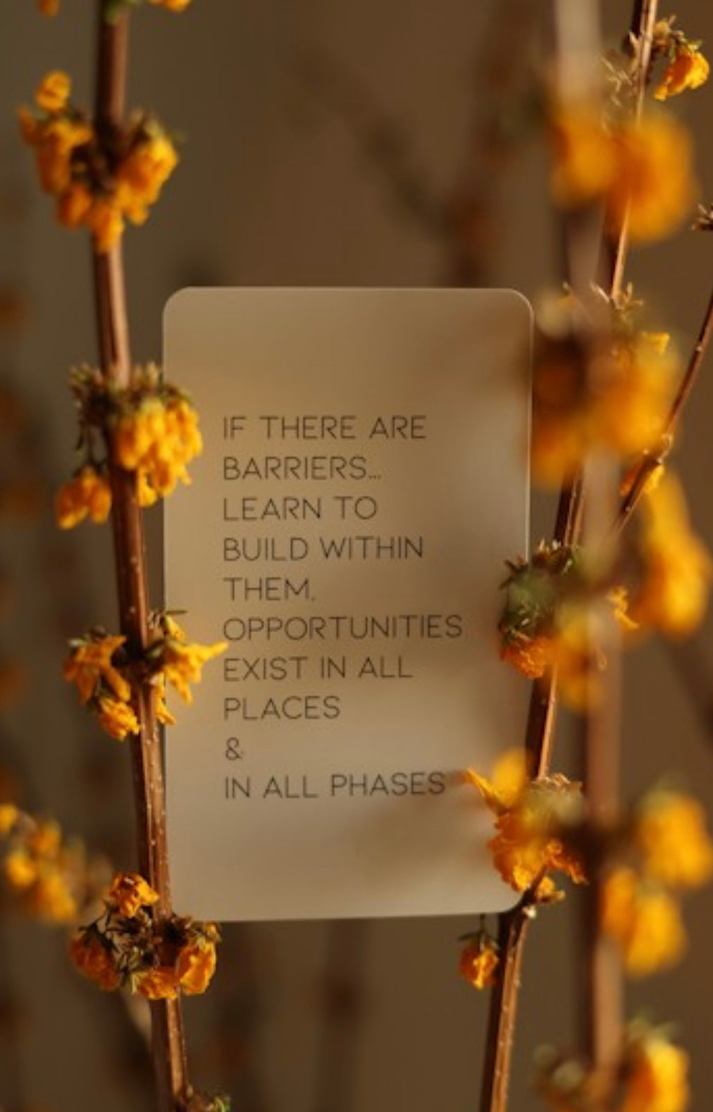 Affirmé: Affirmation Cards